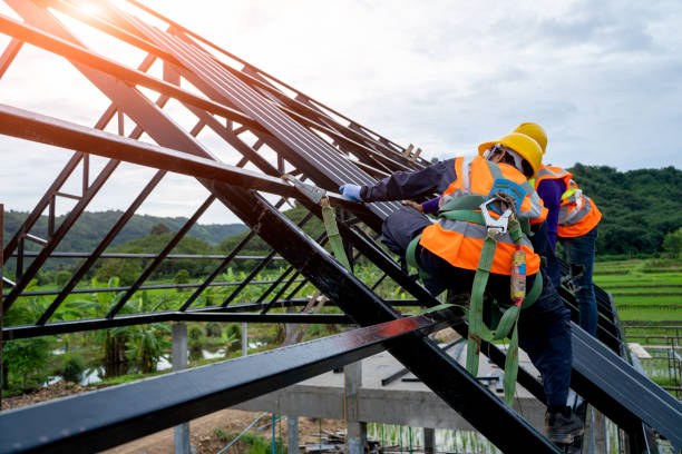 Best Roof Replacement Cost  in Carlinvle, IL
