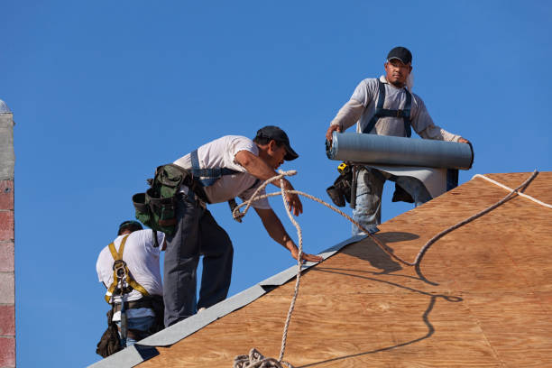 Best Roof Gutter Cleaning  in Carlinvle, IL