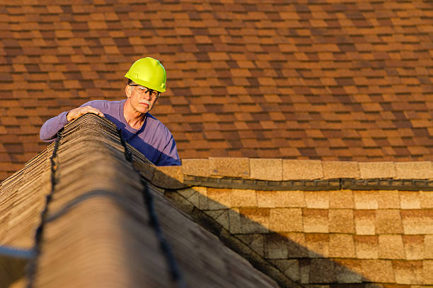 Best Roof Maintenance Services  in Carlinvle, IL
