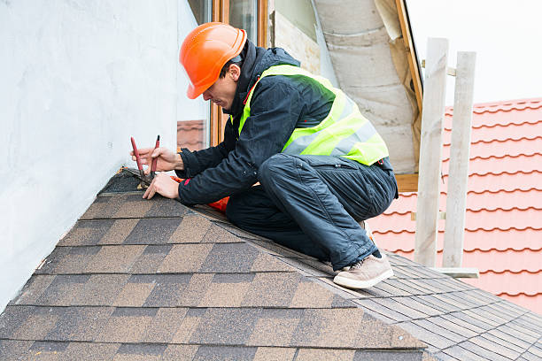 Best Flat Roof Repair Services  in Carlinvle, IL